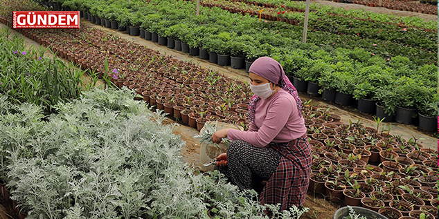Muğlalı kadınlar çiçek taleplerine yetişemiyor