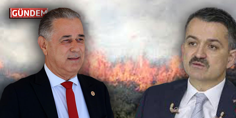 Bakan Pakdemirli’ye Selimiye-Kılavuz Yangınını Sordu?