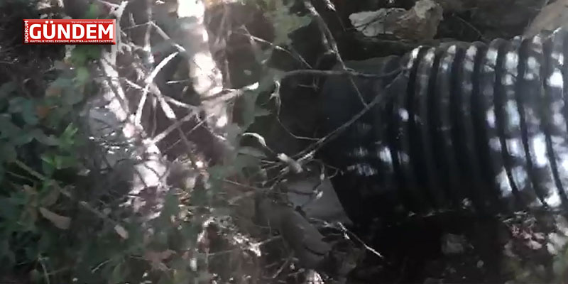 Doğal Değerlerimiz Belediye Eliyle Böyle Katlediliyor