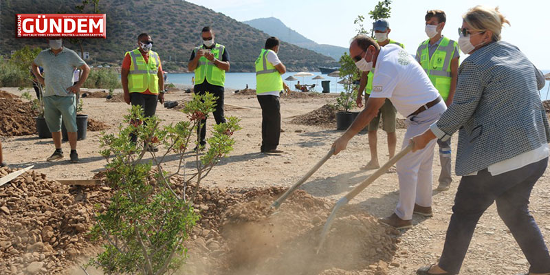 Bodrum’da Sahiller Ağaçlandırılıyor