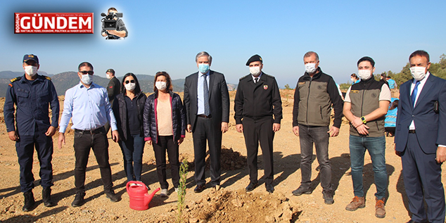 Bodrum’da Hafriyat Alanına 2 Bin Fidan Dikildi