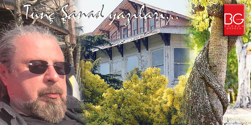 Kırık Mimoza Dalları – Tunç Şanad BG Dergi yazıları…