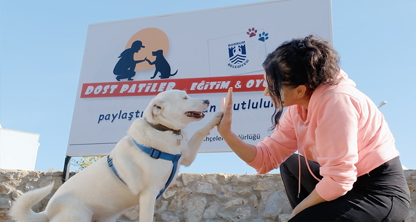 ‘Dost Patiler Eğitim ve Oyun Parkı’ açıldı