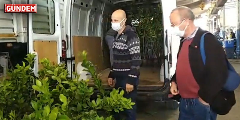 Yediveren Limon Fideleri Kısa Zamanda Tükendi