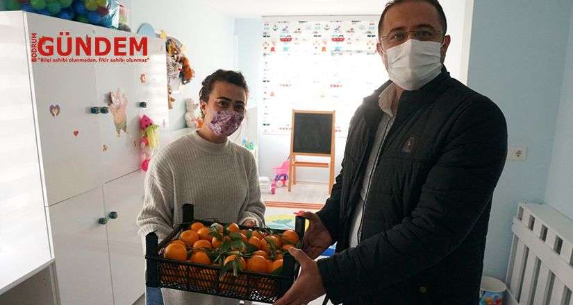 Belediye Bahçesinde Mandalina Hasadı Tamamlandı