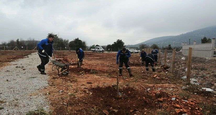 Muğla Büyükşehir’den “Hortikültürel Terapi”