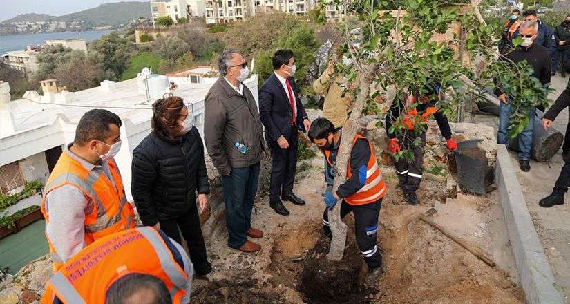 Şehit Pilot anısına dikilen ağaçların kesilmesine Başkan Aras’tan sert tepki