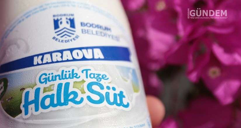Halk süt yeniden evlerde
