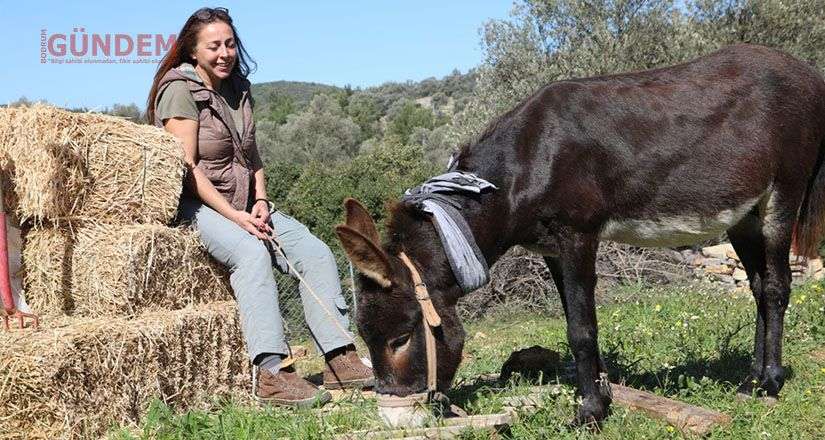 “Lodos” yeni yuvasında