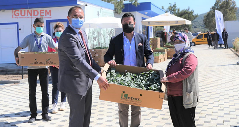 154 Bin Yazlık Fideyi Üreticilere Hibe Etti