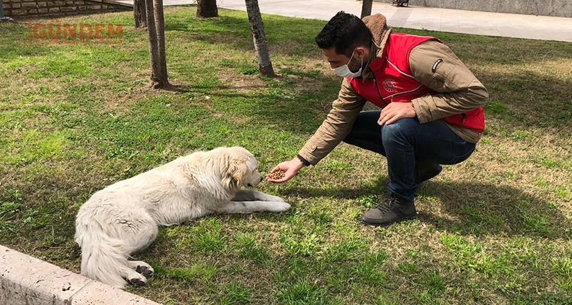Onlar bizim canımız