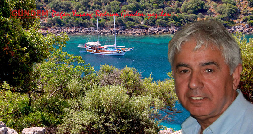 Denizin Tuzu –  Doğan Yuvanç Bodrum Gündem yazıları