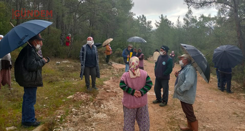İkizköylüler Akbelen ormanları için dava açtılar