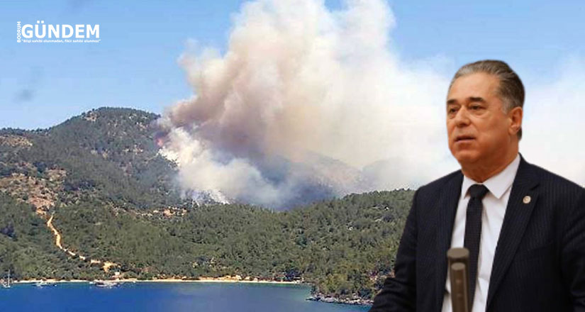 Orman yangınlarına meclis araştırması istedi