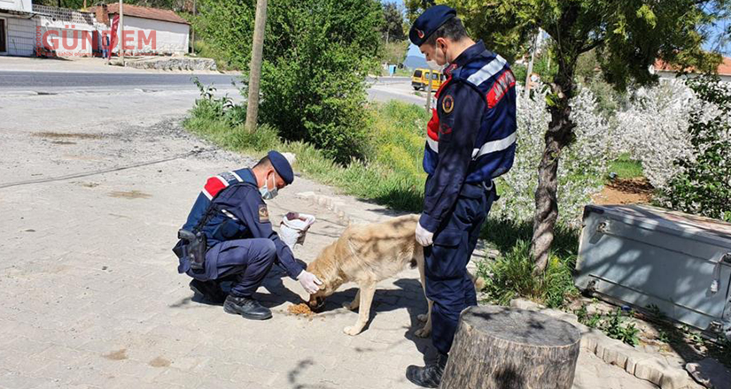 Vefa Sosyal Destek Grubu’nun çalışmaları devam ediyor