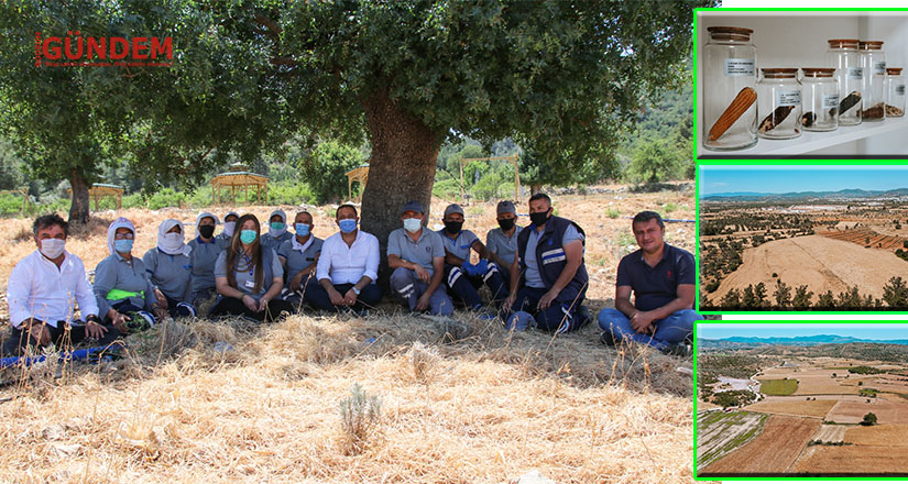 Bodrum’un Tarımsal Kalkınma Hamlesi Adım Adım Hayata Geçiriliyor