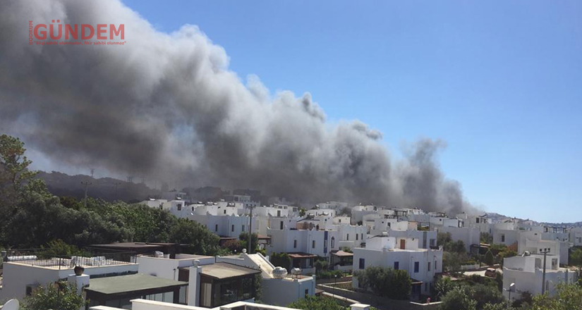 Bodrum Gündoğan’da Yangın 
