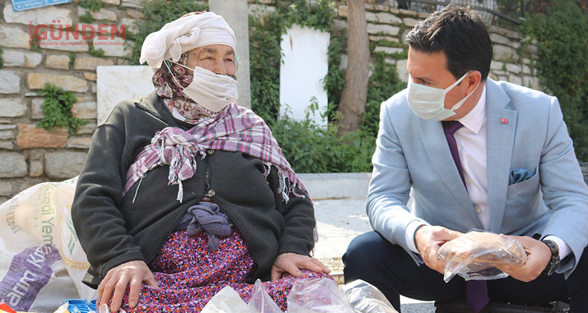 Bodrum’un çınarları ziyaret ediliyor