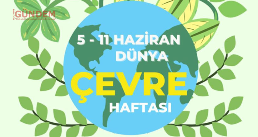 Eko tahribat sürerse gelecekte yeni pandemiler yaşanacak