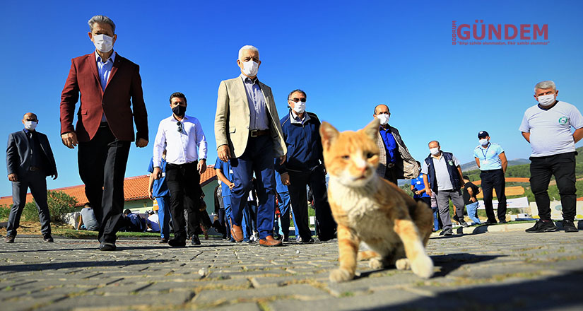 Pandemi döneminde can dostlara ilgi arttı