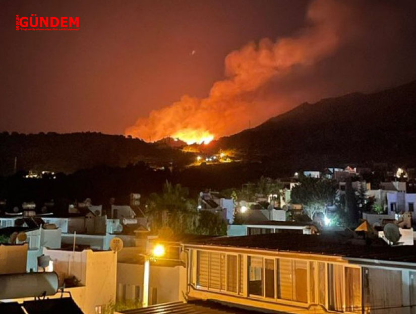 Bodrum’un Gümüşlük bölgesinde yangın var