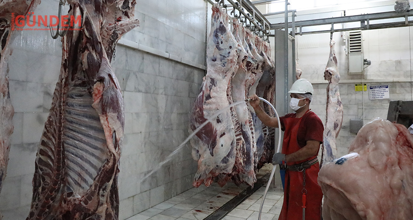 Büyükşehir mezbahaları kurban bayramına hazır