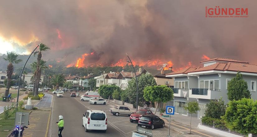 Marmaris’te ki acı tablo