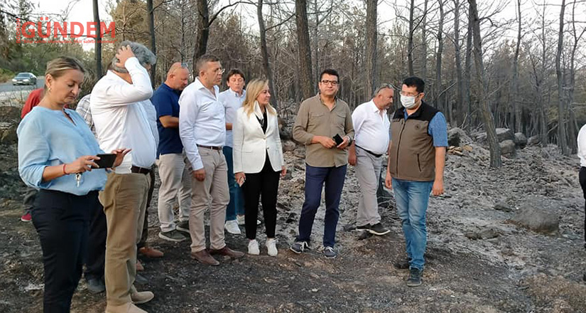 “Teknik şartname oyunu ile THK pasifize edilmiştir”