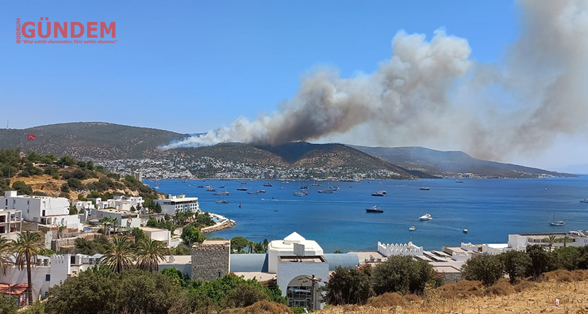 Bodrum Değirmenler Mevkiinden Yangın görüntüleri