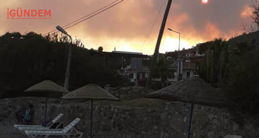 Yukarı Mazı’da Yangın devam ediyor – Canlı Yayın