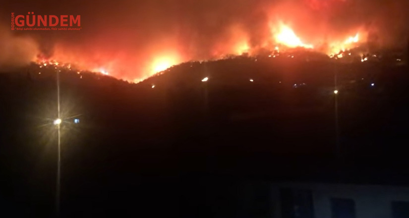 Yangın Yukarı Mazı’da evlere ulaştı, mahalle boşaltılıyor