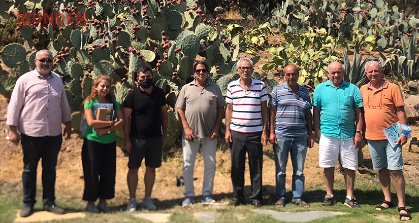 Bodrum’da organik tarım çalıştayı için çalışma başlatıldı 