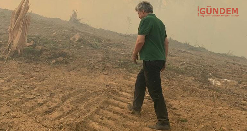 Büyümeden Söndürülebilecek Yangınlar Doğal Felakete Dönüştü