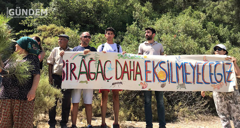 Kesilen 100 ağaç için Termik Santral hakkında suç duyurusunda bulundular