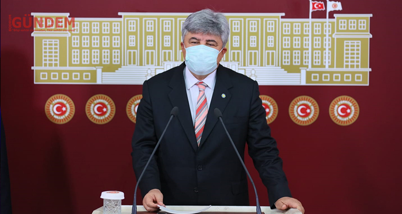 Orman ekosistemi ağır hasar aldı