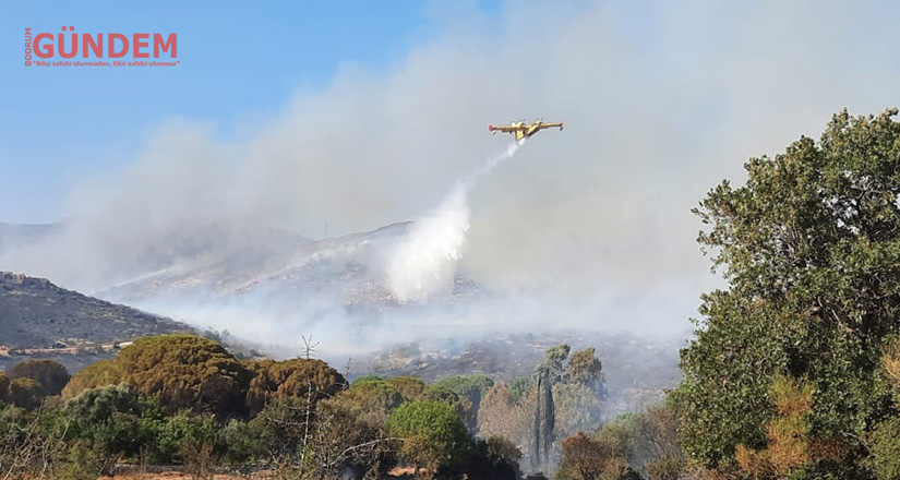 Dereköy yangınına havadan 2 uçak, 1 helikopterle müdahale ediliyor