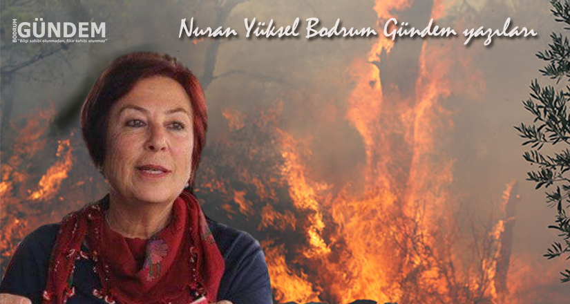 Yangın, Çaresizlik ve Bodrum Duruşu