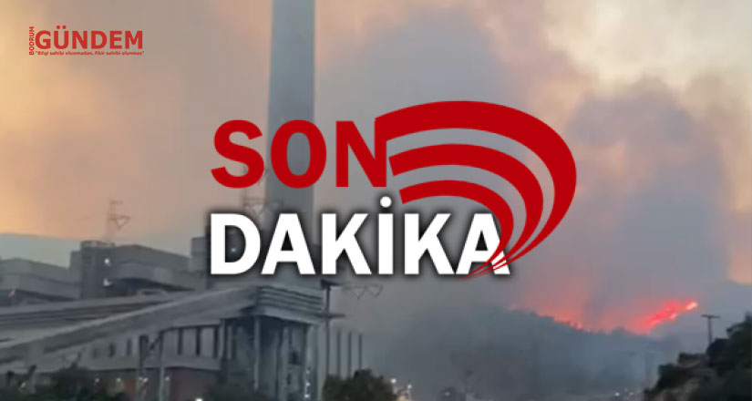Son Dakika Bodrum !!! Yangın Termik Santrale Sıçradı, Tahliye Başladı