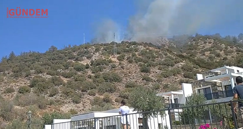 Bodrum Umurça mahallesindeki yangın korkuttu