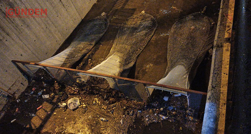10 ton atığın denize ulaşması engellendi