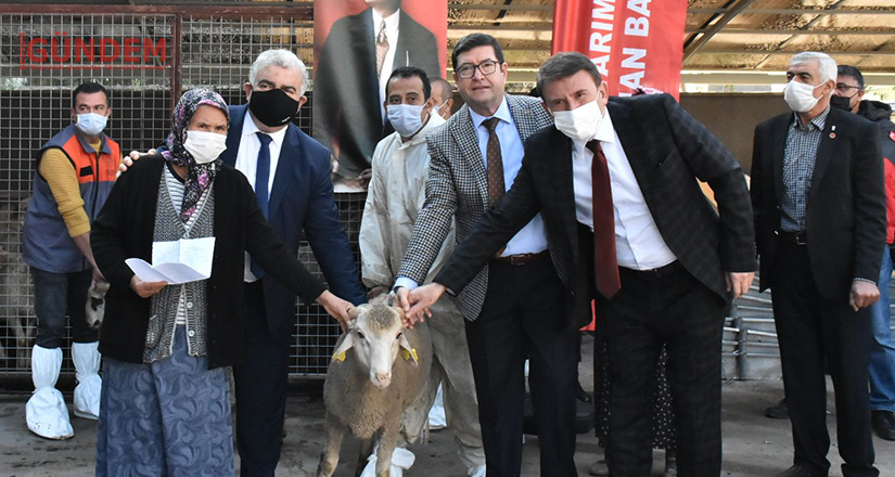 Çiftçilere koyun dağıtım töreni gerçekleşti