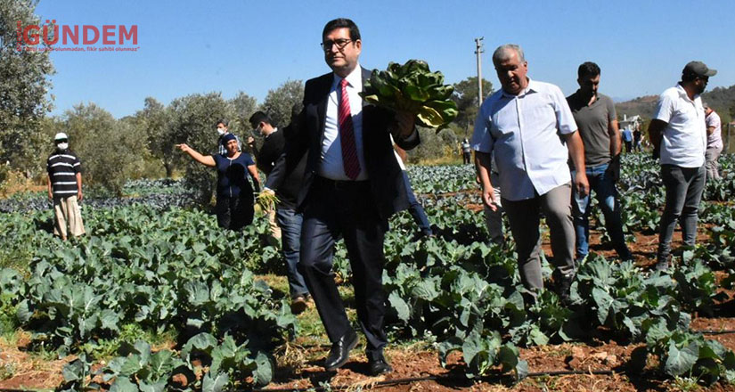 Dalaman’da tatlı patates ve kışlık sebze tarla günü yapıldı