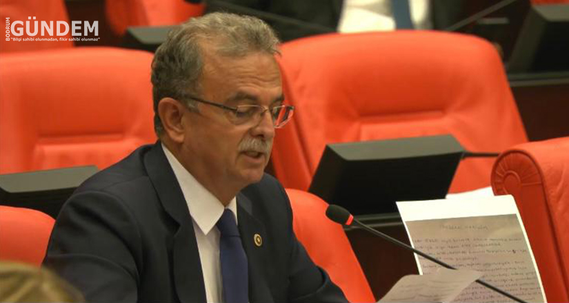 Girgin TBMM’de Orman İşçisinin mektubunu okudu