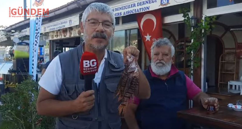 İskorpitin yerini Aslan Balığı mı tutuyor?
