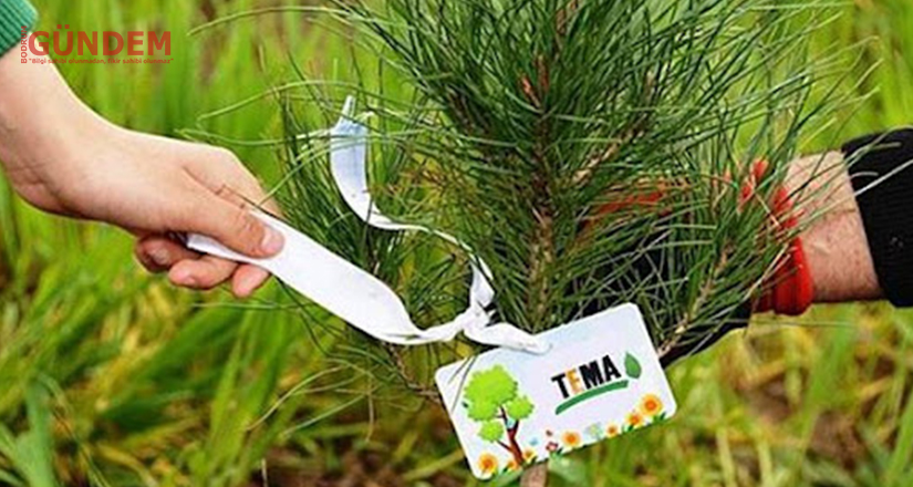 TEMA Vakfı Muğla’da Gönüllü İl Temsilcisi arıyor