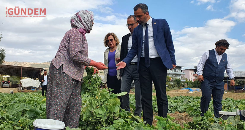 Tarım Bakanı çiftçiyi anladı ama yanlış anladı