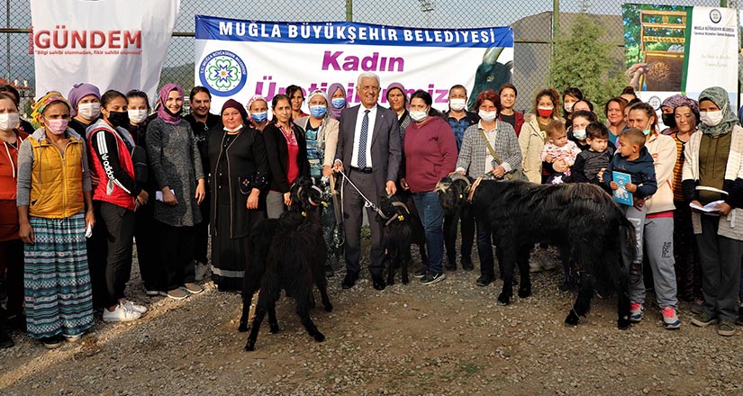 Ula’lı Kadın Üreticilere Kıl Keçisi Desteği