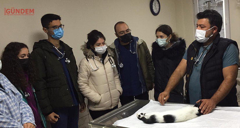 Geçici Hayvan Bakımevi Veterinerlik öğrencilerini ağırladı