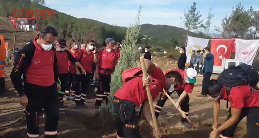 Yanan orman yerlerine fidan dikimi gerçekleştirildi