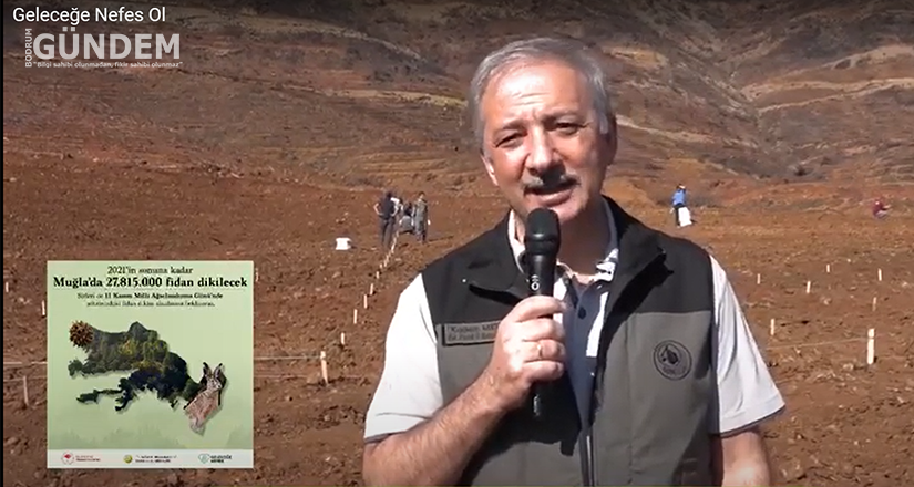 Yangın Alanlarına Fidan Dikilerek Geleceğe Nefes Olunacak